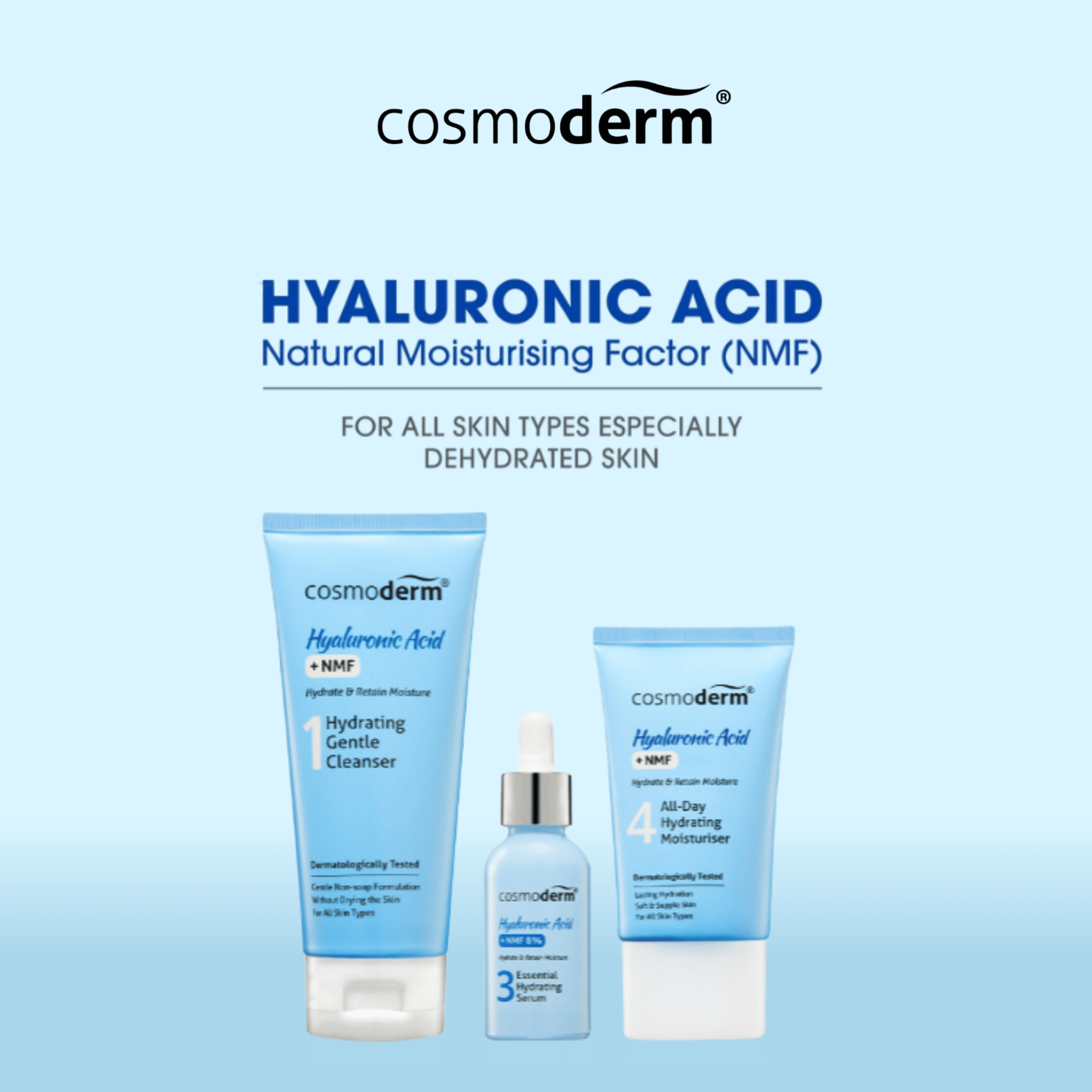 Hyaluronic Acid + NMF - Essential Set